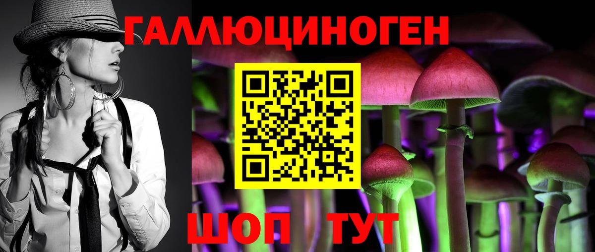 Псилоцибиновые грибы Psilocybe Новомосковск